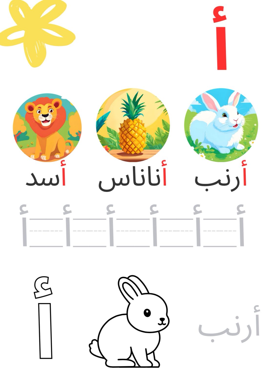 كتب الأحرف و الأرقام