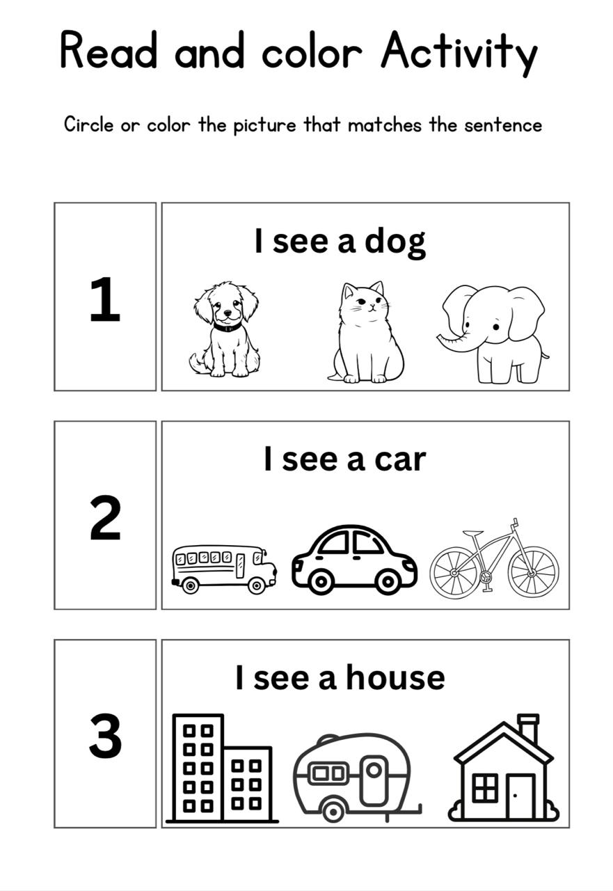 Activity Book