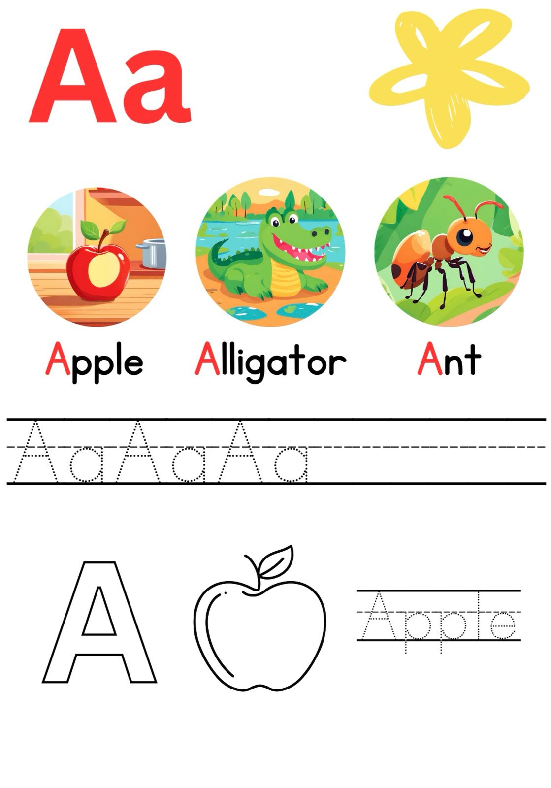 My book of ALPHABETS