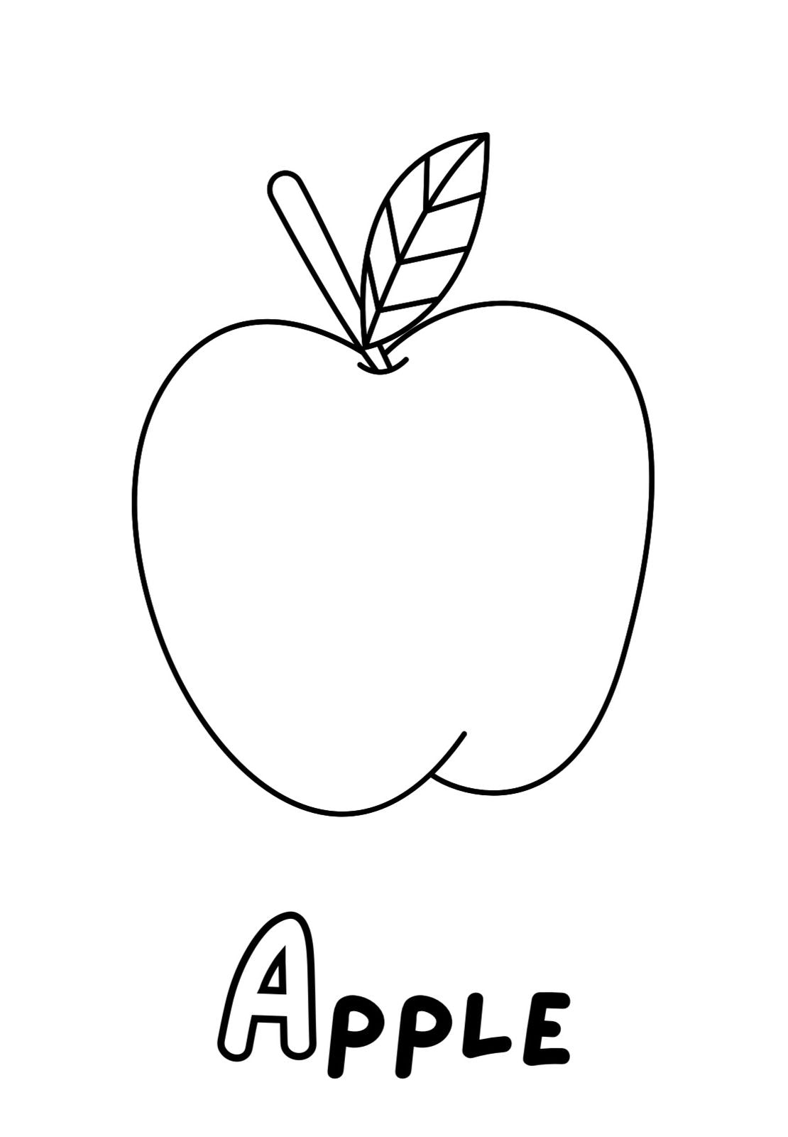 Pre-Kindergarten Bundle of 22 eBook educational developing materials